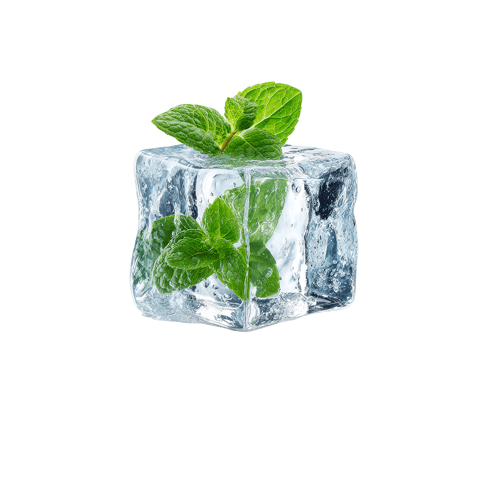 THE ICEBAG продукт