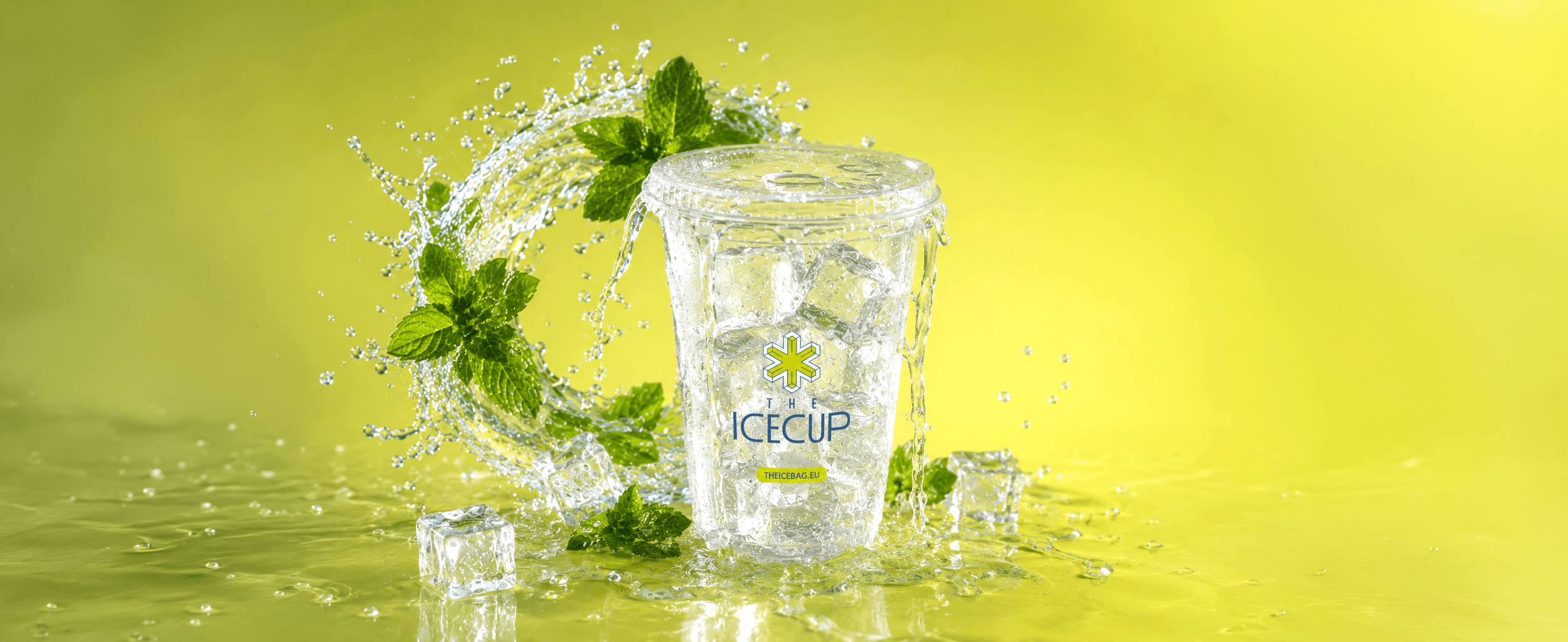 THE ICECUP
